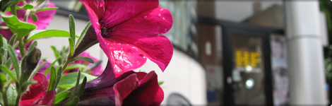 ヘアフレンズ入口